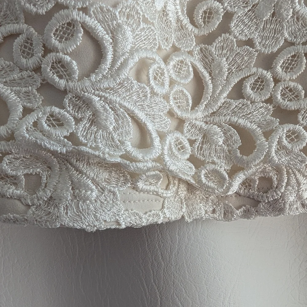 Flora Nikrooz Cream Lace Stretch Top Sheer Long Sleeves - L